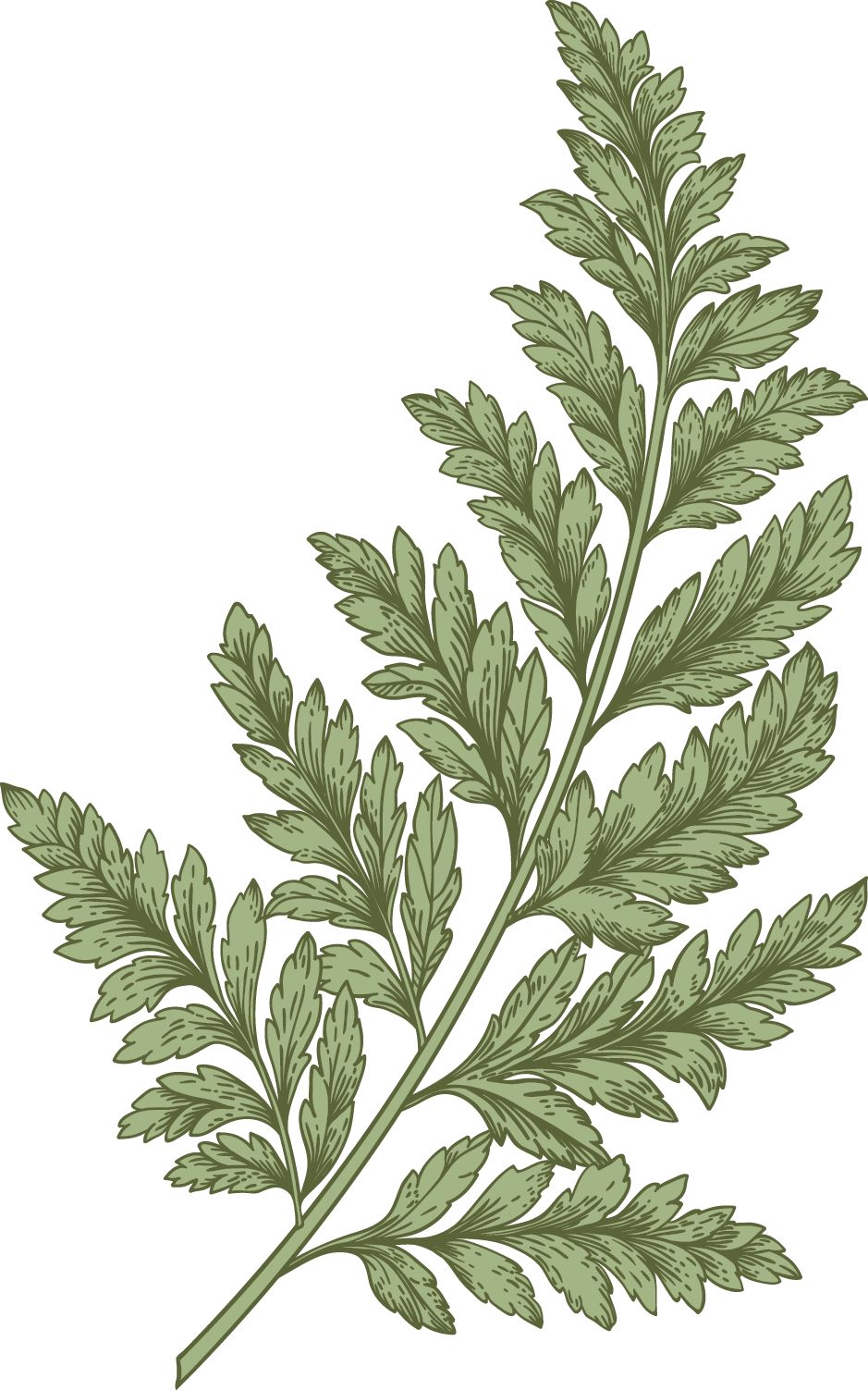 bota-pub-plante-8